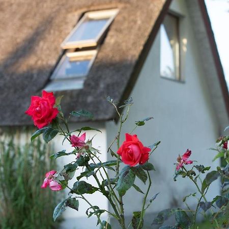 Fridfullt Boende Pa Lantgard Med Underbar Utsikt 말뫼 외부 사진